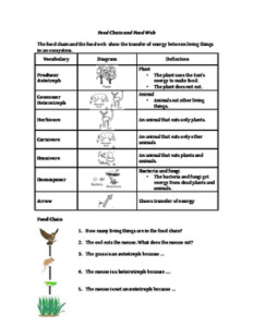 Ecology Vocabulary Interactions Within The Environment Environment