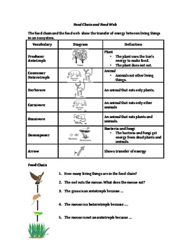 Ecology Vocabulary Interactions Within The Environment Environment 