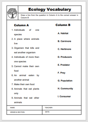 Ecology Vocabulary Matching Worksheet EnglishBix