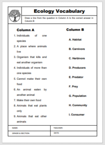 Ecology Vocabulary Matching Worksheet EnglishBix