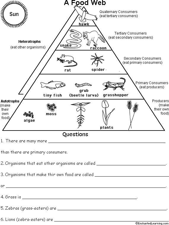 Ecology Worksheets For High School Worksheets Master