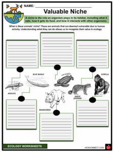 Ecology Worksheets Fundamental Concepts Notable Ecologists