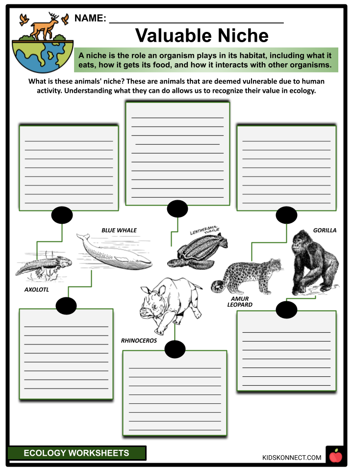 Ecology Worksheets Fundamental Concepts Notable Ecologists