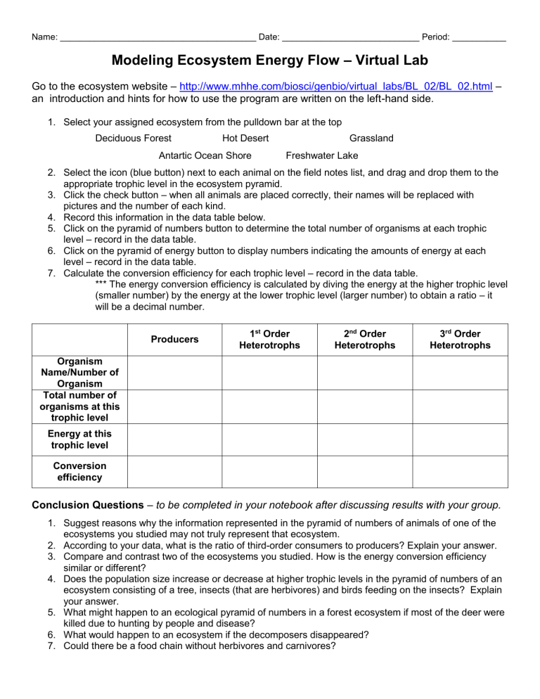 Ecosystem Energy Flow Virtual Lab Worksheet