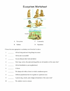 Ecosystems For Kids Worksheets