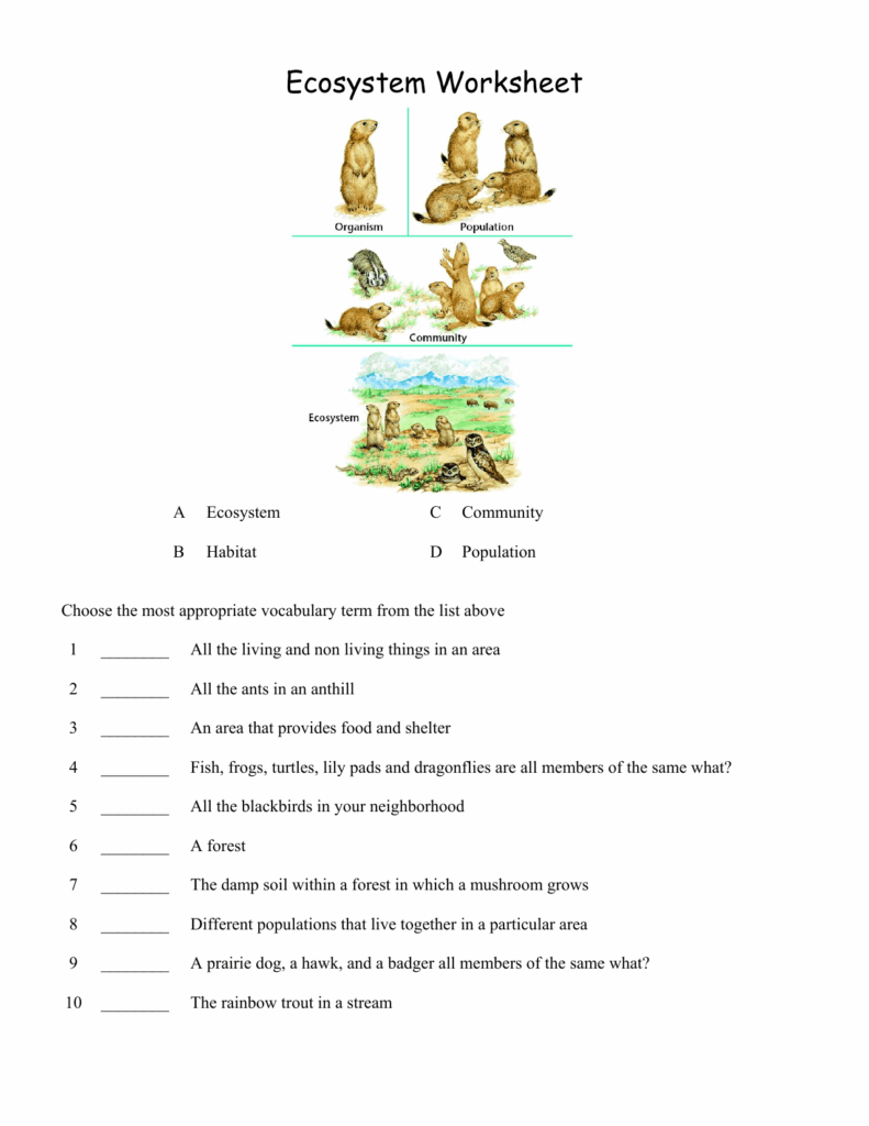 Ecosystems For Kids Worksheets