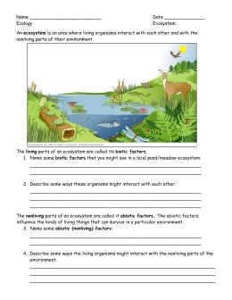 Ecosystems Presentation Project Rubric Initiating Progress 7 Points