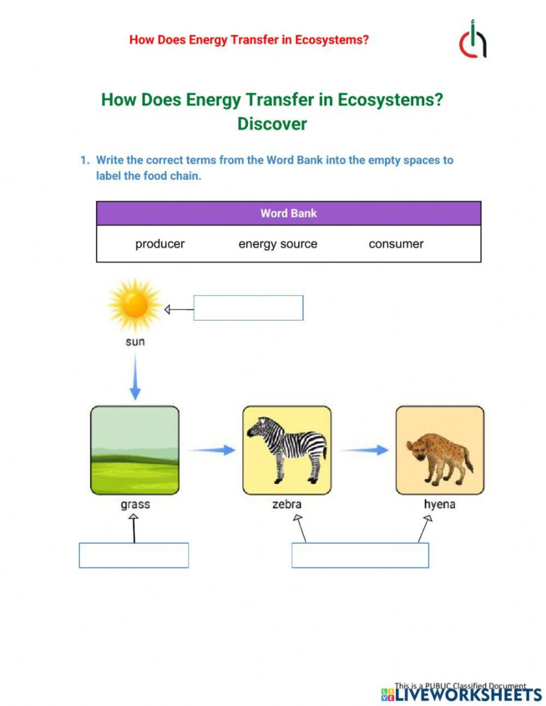 Energy Flow In An Ecosystem Worksheet Live Worksheets Worksheets 