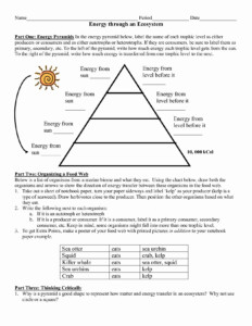 Energy Flow Through An Ecosystem Worksheet