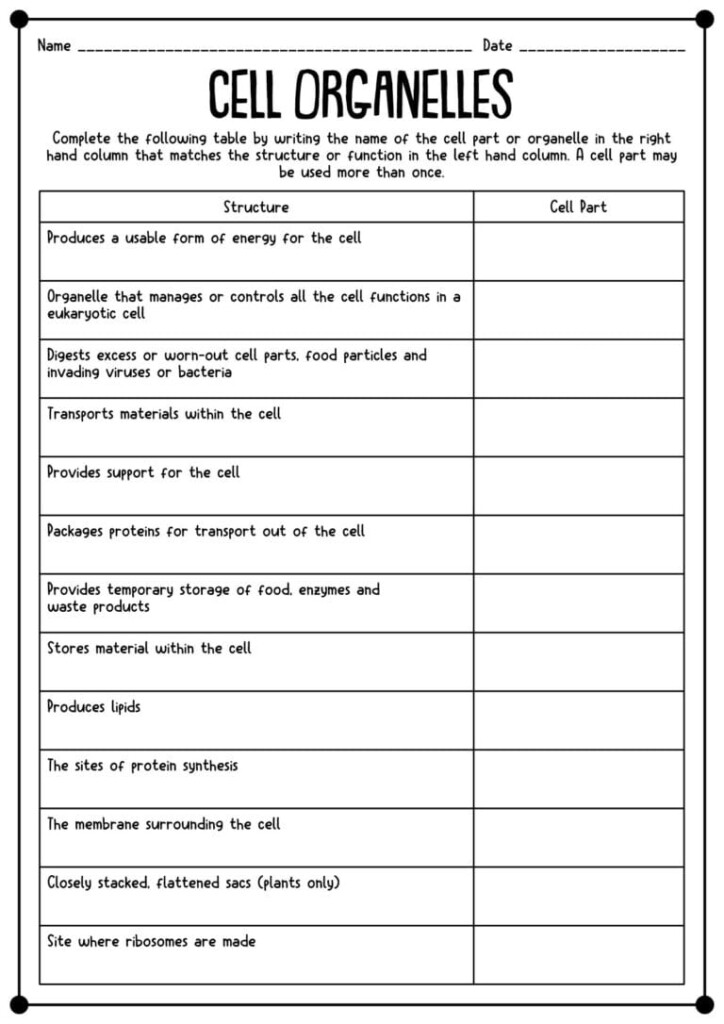 Engaging Biology Cell Organelles Worksheets With Answer Keys For 