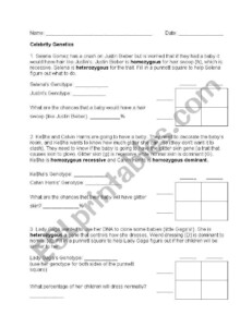 English Worksheets Celebrity Genetics