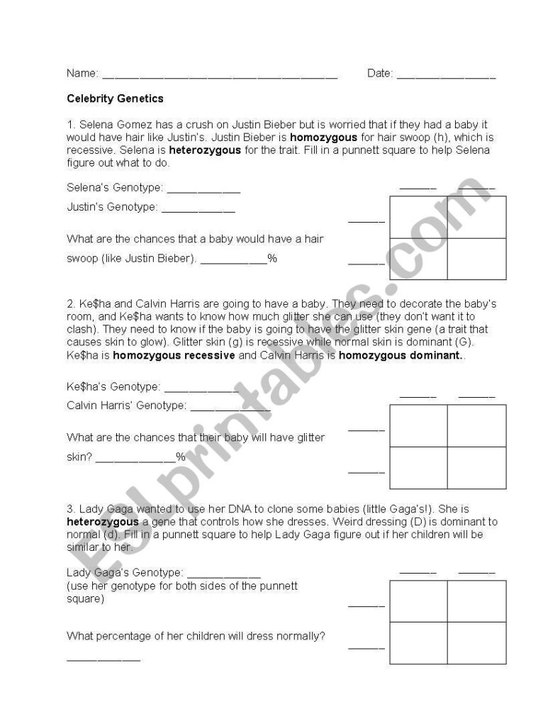 English Worksheets Celebrity Genetics