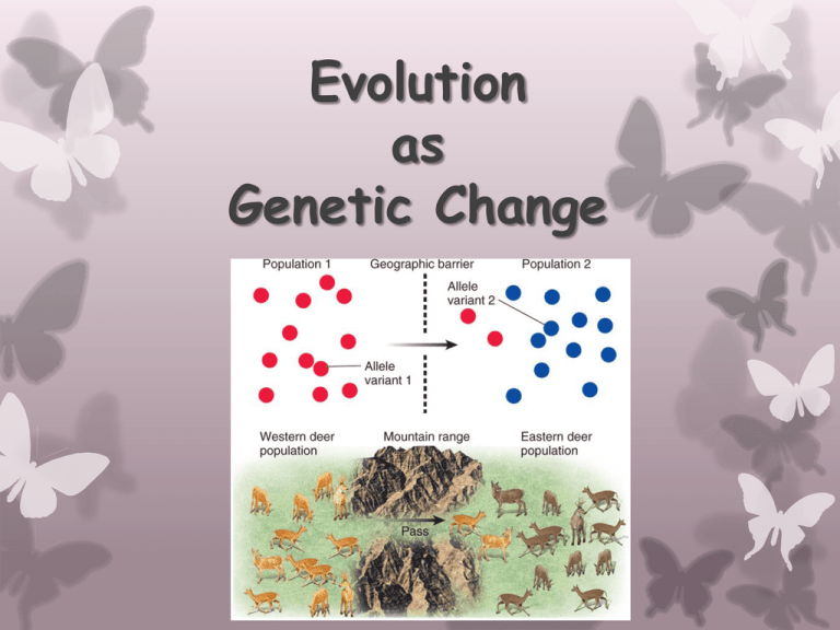 Evolution As Genetic Change