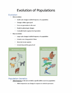 Evolution Of Populations Population Genetics Adaptive Evolution