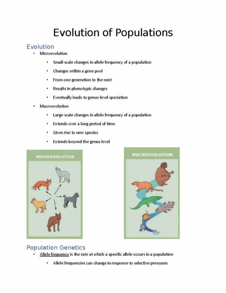 Evolution Of Populations Population Genetics Adaptive Evolution 