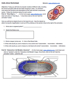 Explore The Cell With Interactives From CellsAlive
