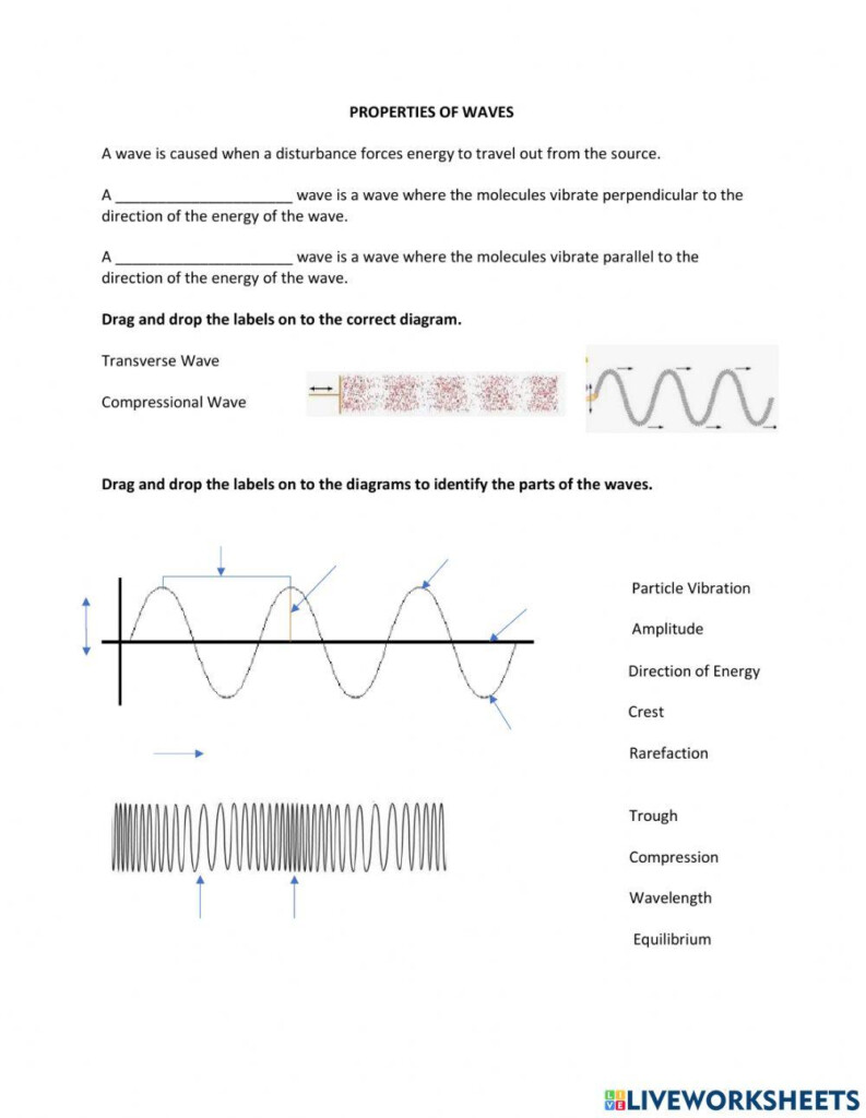 Explore The World Of Waves Engaging Worksheets For Understanding Wave 