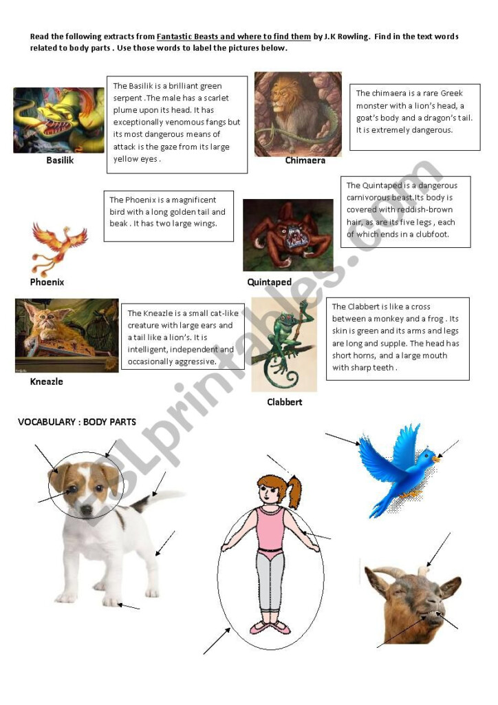 Fantastic Beasts ESL Worksheet By Sfioretti