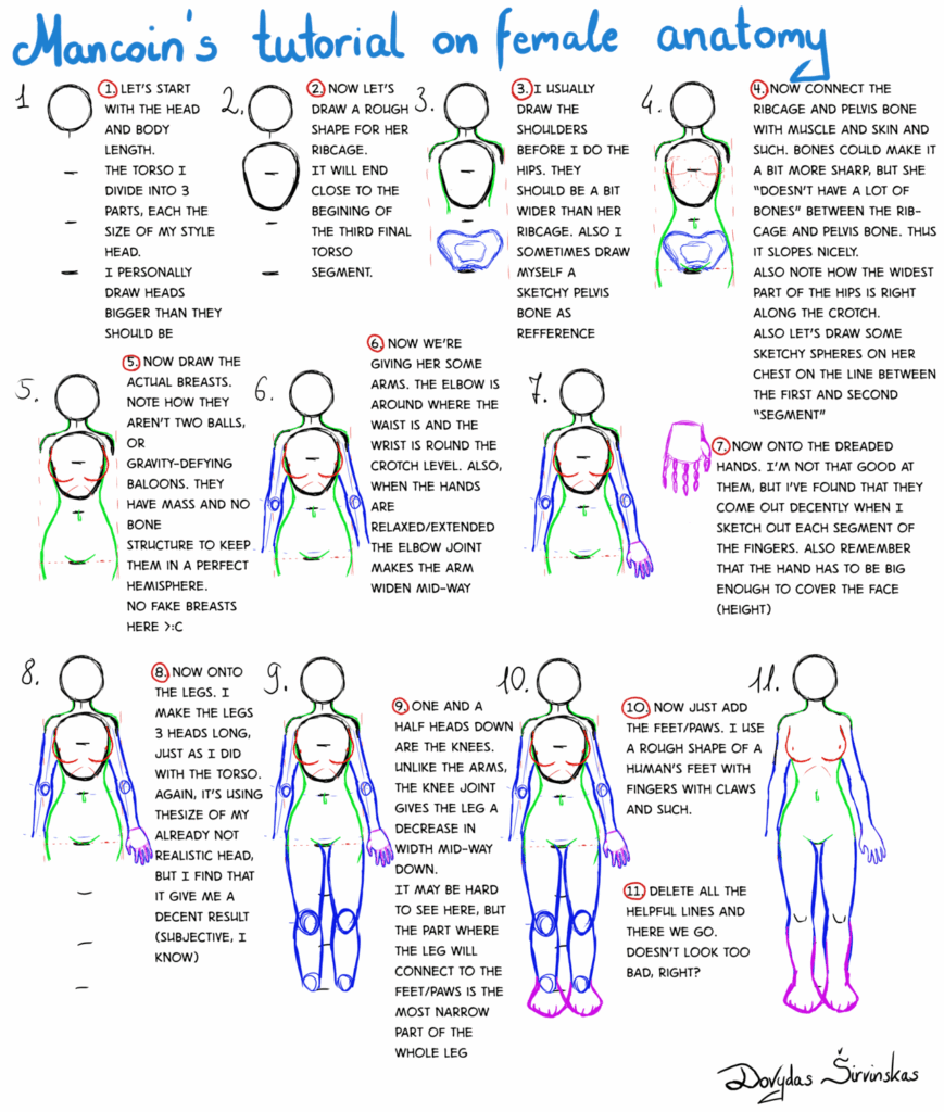 Female Anatomy Worksheet
