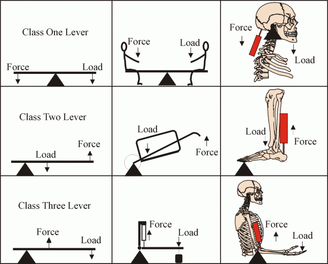 Figure 2 Three Classes Of Levers