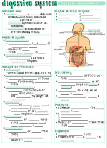 Fill In The Blank Anatomy And Physiology Worksheets Anatomy Worksheets