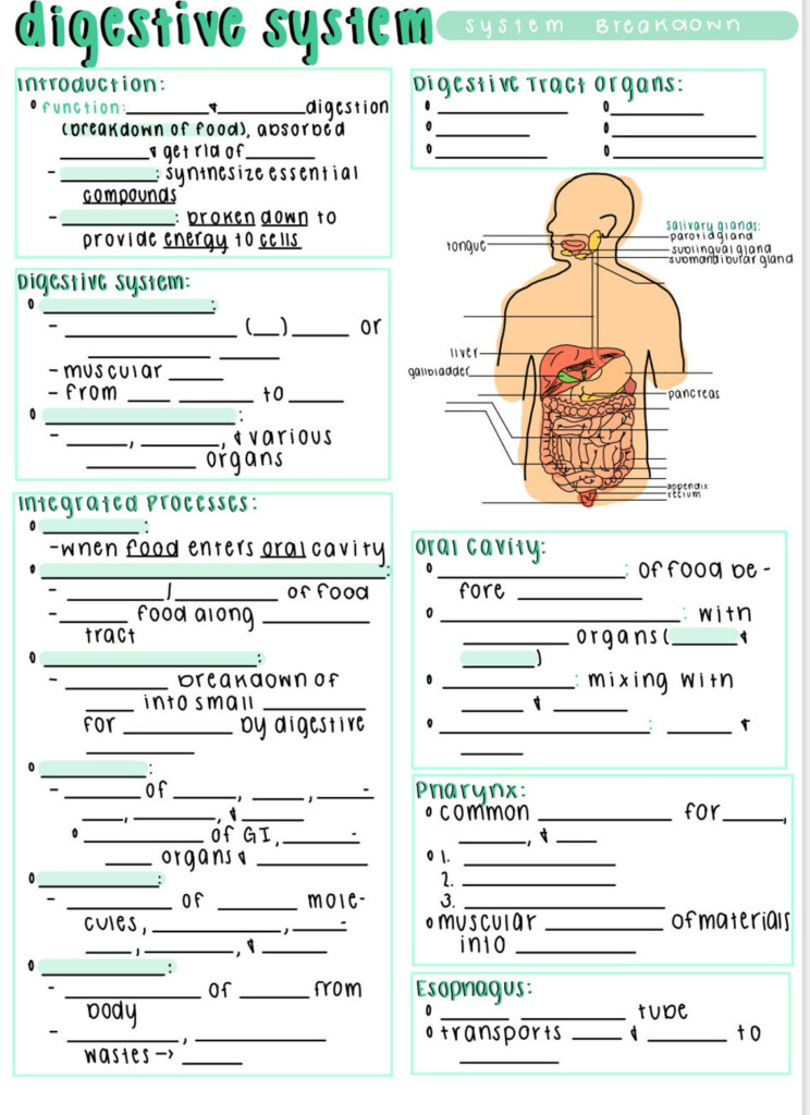 Fill In The Blank Anatomy And Physiology Worksheets Anatomy Worksheets
