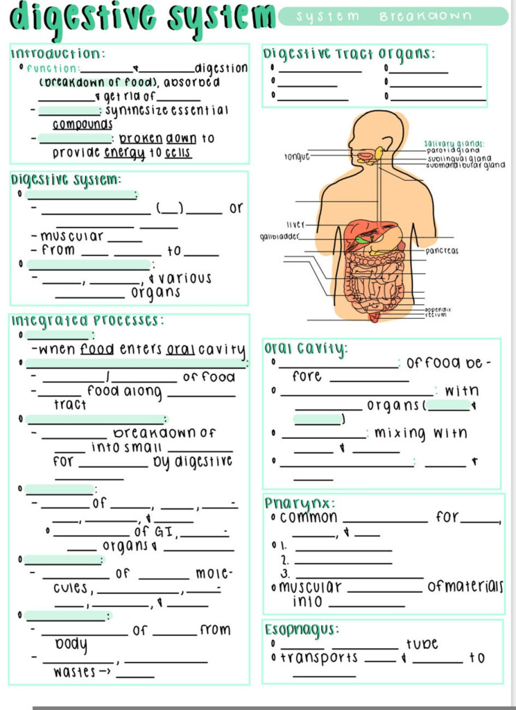 Fill In The Blank Anatomy And Physiology Worksheets Anatomy Worksheets