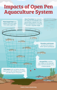 Fishing For Information The Environmental Impact Of Fish Farming