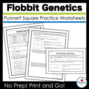Flobbit Punnett Square Practice By Classroom 214 TPT