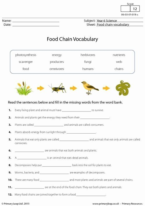 Food Chain Worksheet Pdf Beautiful Food Chain Vocabulary Food Chain 