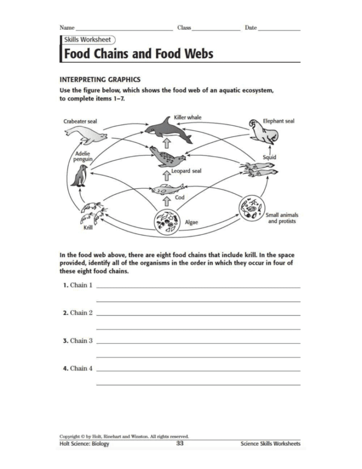 Food Webs And Food Chains Worksheets Answers Key