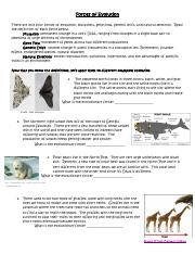 ForcesofEvolutionWorksheet Forces Of Evolution There Are Only Four 
