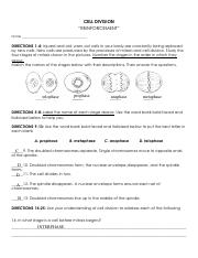Franck Onguene Cell Division Reinforcement Worksheet pdf CELL 