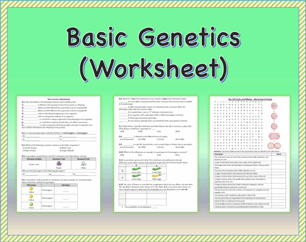 Free Basic Genetics Worksheet Download Free Basic Genetics Worksheet 