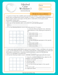 Free Biology Genetics Worksheet Download Free Biology Genetics
