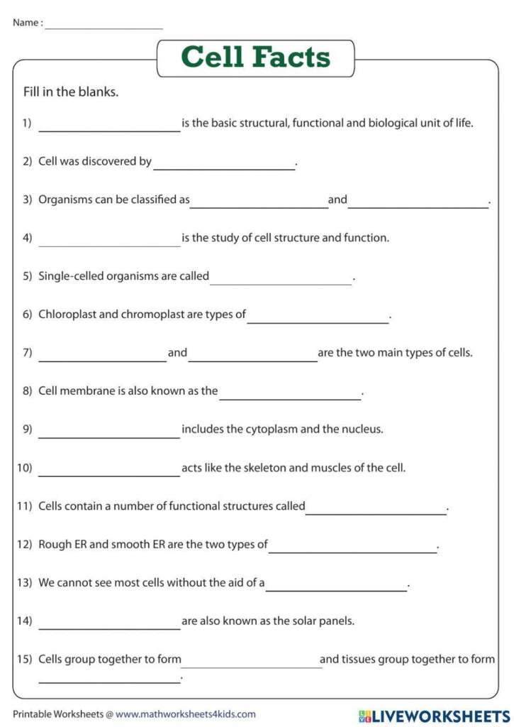 Free Cell Biology Worksheet Download Free Cell Biology Worksheet Png 