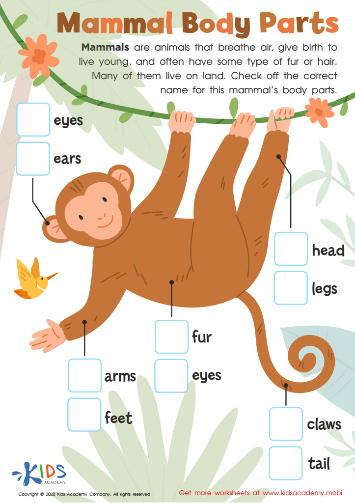 Free Free Mammal Worksheet Download Free Free Mammal Worksheet Png 
