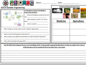 Free Genetic Engineering Worksheet Download Free Genetic Engineering