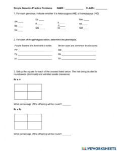 Free Genetics Practice Problems Simple Worksheet Download Free