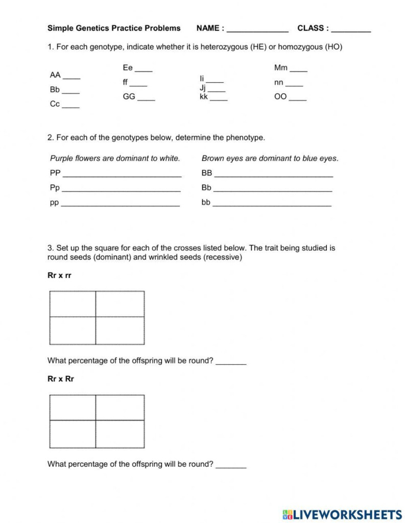 Free Genetics Practice Problems Simple Worksheet Download Free 