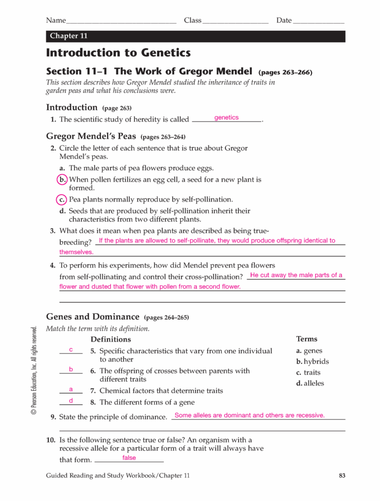 Free Introduction To Genetics Worksheet Answers Download Free 