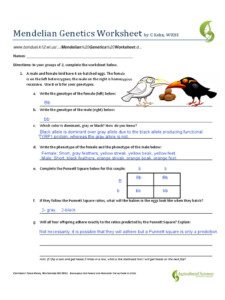 Free Mendel Worksheet Answers Download Free Mendel Worksheet Answers