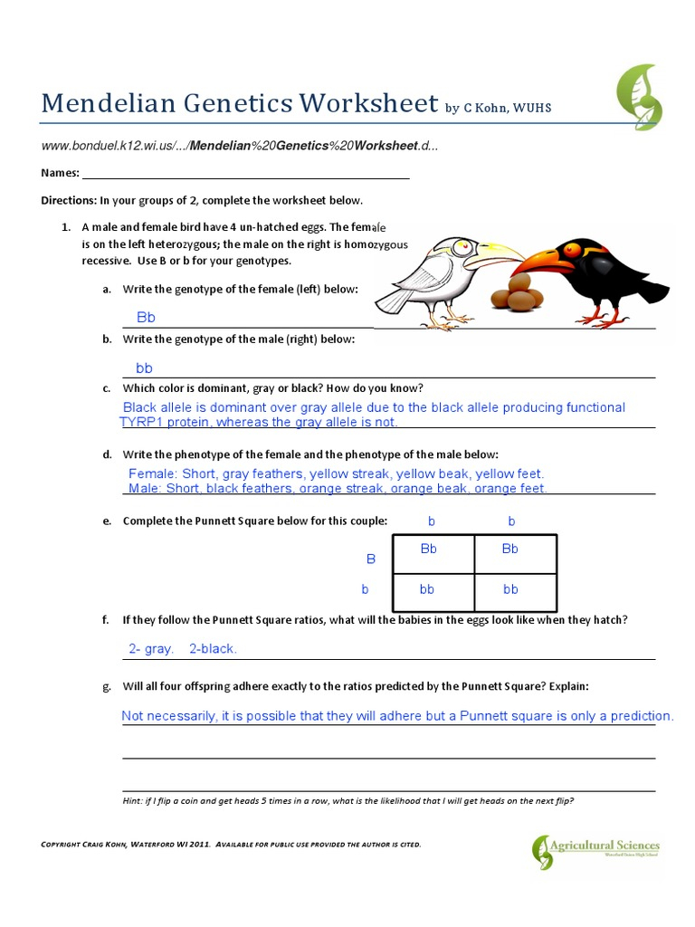 Free Mendel Worksheet Answers Download Free Mendel Worksheet Answers 