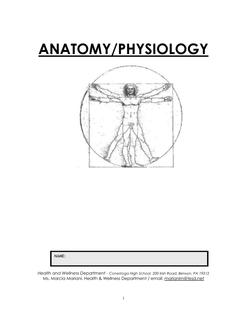Free Printable Anatomy And Physiology Worksheets