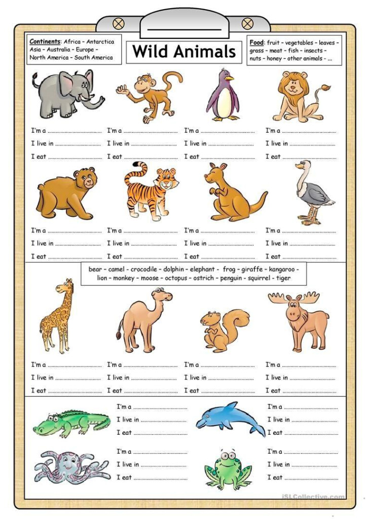 Free Printable Animal Worksheets