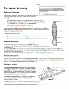 Free Printable Earthworm Dissection Worksheets
