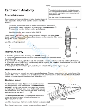 Free Printable Earthworm Dissection Worksheets