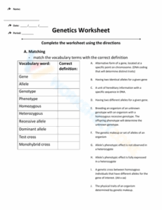 Free Printable Genetics Vocabulary Worksheets For Teaching