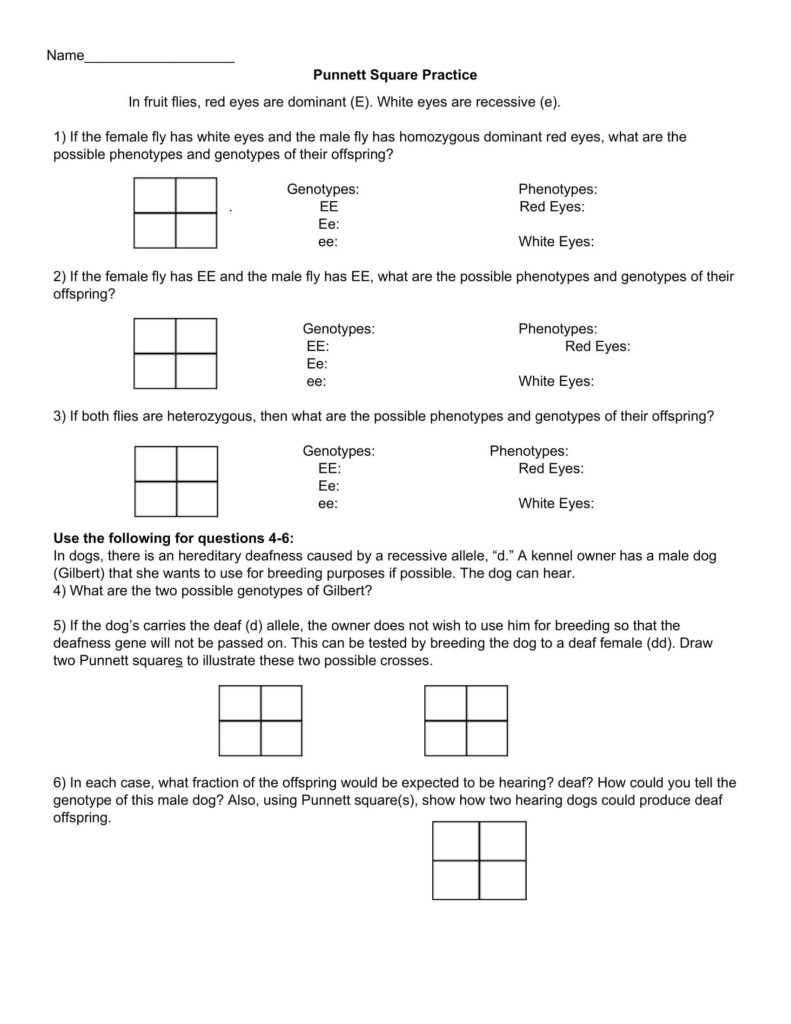 Free Printable Punnett Square Practice Worksheets Your Guide To 