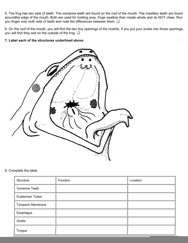 Frog Dissection External Anatomy Worksheet Answers Anatomy Worksheets